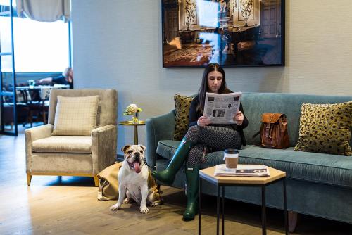 Delamar West Hartford in West Hartford, USA