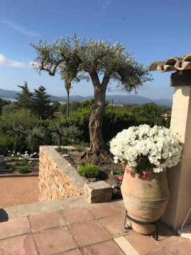 Les Arbousiers gîte à louer Guerre Vieille