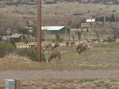 South Fork Lodge & RV Park Colorado