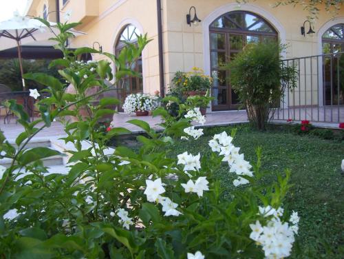 Hotel Del Sole - image 13