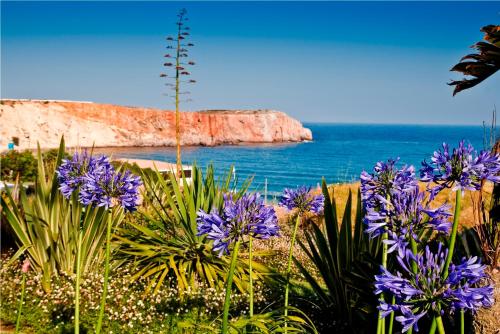 Mareta View - Boutique Bed & Breakfast - main image