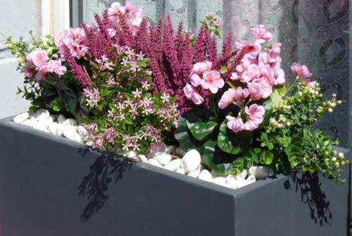 Apollo Guest House - image 12