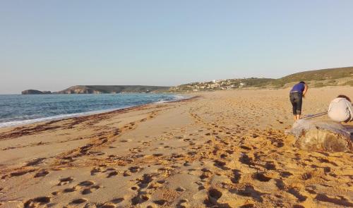 Sardegna Incontaminata Apartments SUPER VISTA MARE