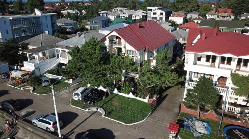 Festina Lente, Kobuleti