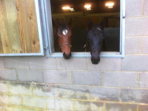 Withyslade Farm - image 8