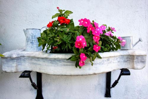 Hotel Bersagliere - image 12