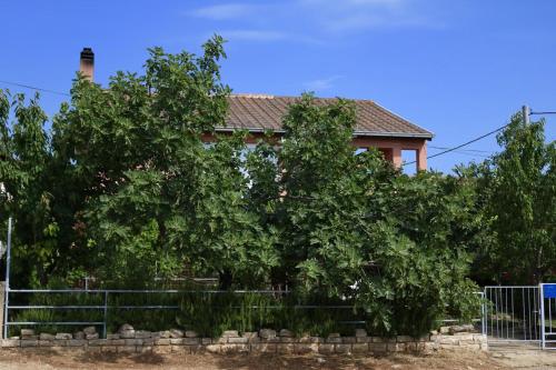 Apartments by the sea Karin Gornji Novigrad - 11806 - image 6
