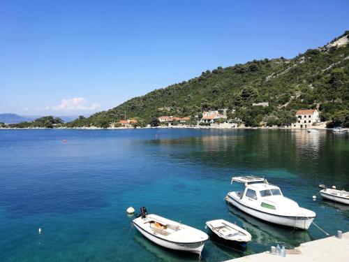 STIGA 1 - new ap. 4 two in Mljet