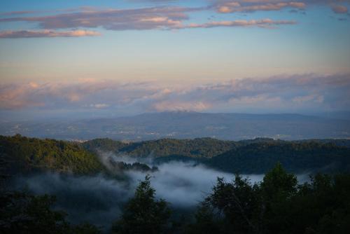 Guest House Lagotto's Peak