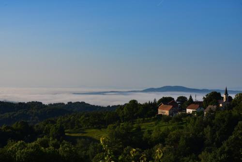 Guest House Lagotto's Peak