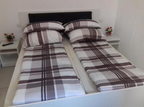Apartament central V&P 