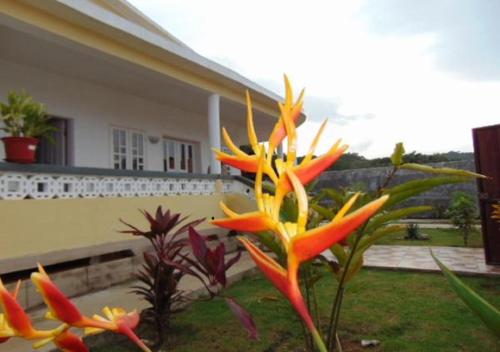 . Principe Residencial