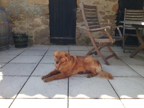 Paul's Barn in France in Нантьа