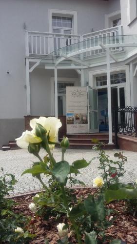 Willa Home - image 7