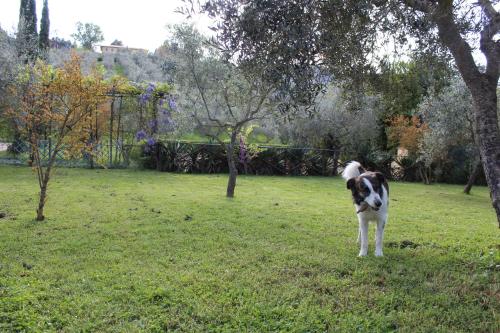 Agriturismo La Fonte - image 7