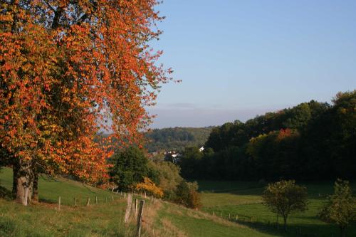 Ferienhaus Auszeit