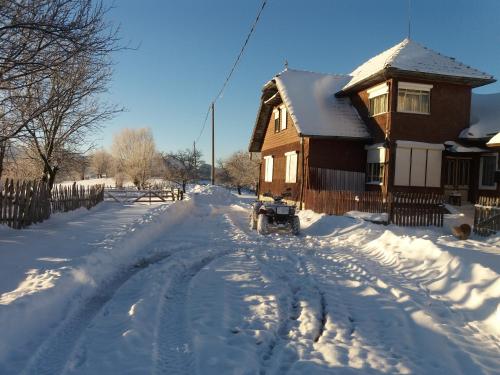 Casa Claudiu - Accommodation - Măgura