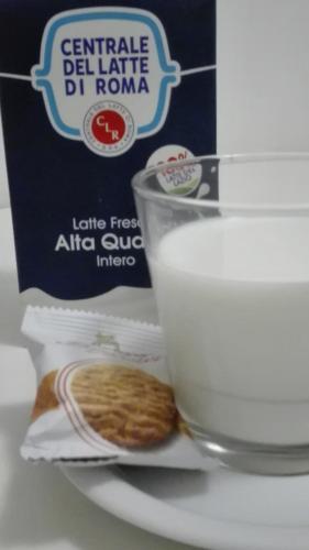 Tourist House B&B - image 4