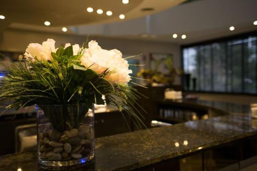 Hotel Motel Ascot – Lissone, DC