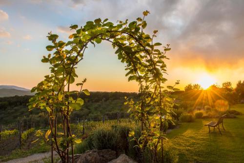 Accommodation in Provincia di Grosseto