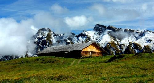 Hotel Alpina