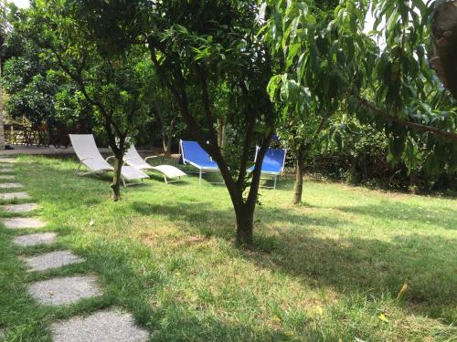 Agriturismo La Rocca di Perti - image 6