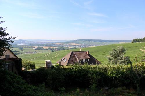Le Sarment - HAUTVILLERS 1