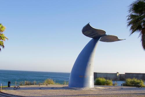  Beach Surf Apartment II Carcavelos in Cascais