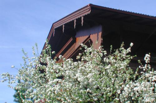 Hotel Garni Villa Knauer - image 2