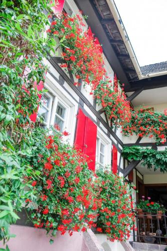 Hotel de Charme 'zum Schiff' - 출입구