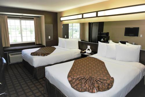 Microtel Inn & Suites by Wyndham Jacksonville Airport, Jacksonville (fotografie 9)
