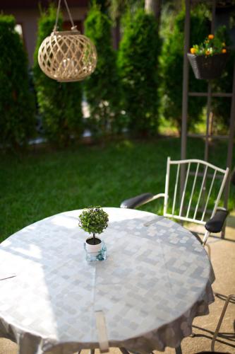 Apartments Cvetkovic Relax - image 12