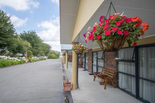 Facilities, Antonio Mews Motel in Mount Taranaki
