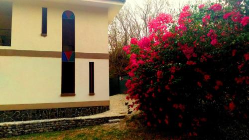 Casa La Guaria in Samara