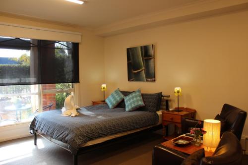 Box Hill Studio Apartment 2