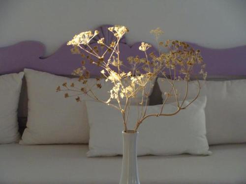 Solaris – Folegandros, UT