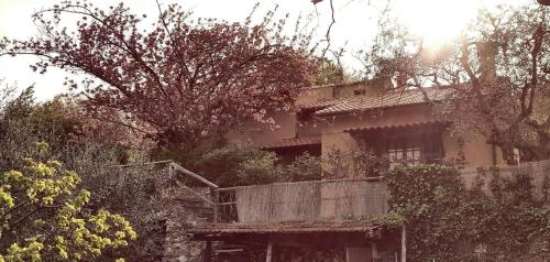 L'Uliveto D'Argento 4