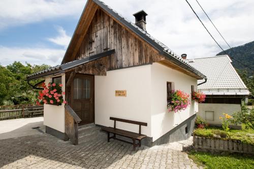 Apartments Kocjanc - Bohinj