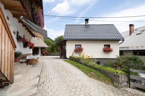 Apartments Kocjanc - Bohinj