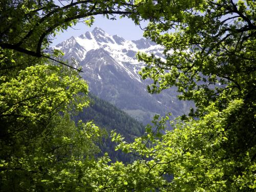 Heilbad Burgwies ink Nationalpark Wintercard