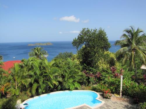 Piscina, GîTE MAYO & HYLODES'S SONG (GiTE MAYO & HYLODES'S SONG) in Bouillante