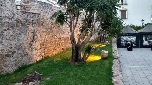 Vinos & Vinilos by HOMA - image 3