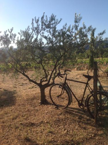 Le Vieux Portail – St. Saturnin d'Apt, UT