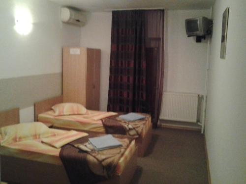 Pensiunea Raffael - Accommodation - Otopeni