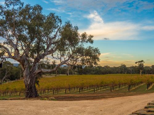 Shadow Creek McLaren Vale