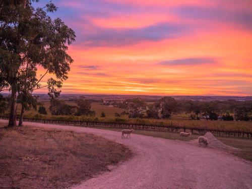 Shadow Creek McLaren Vale