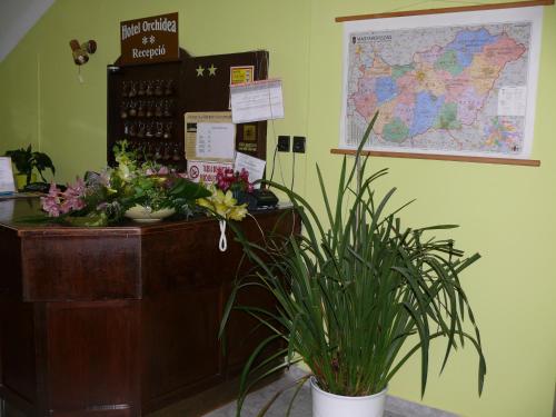 Vestabils, Hotel Orchidea in Balastya