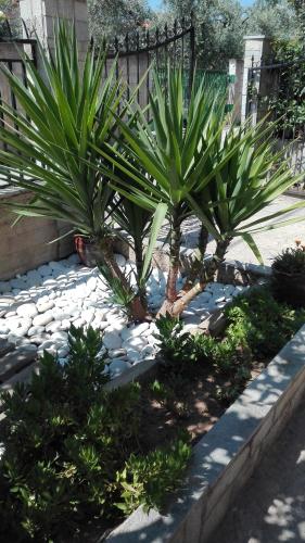 Sofia's Garden Apartment - main image