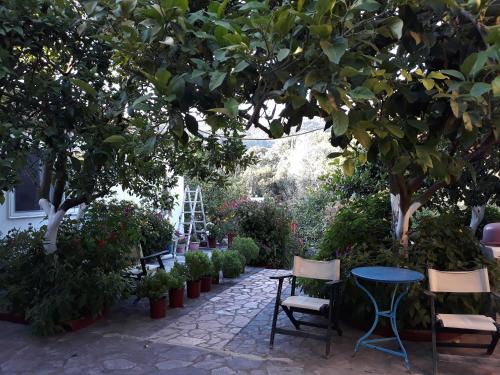  Villa Nouli in Sarakiniko