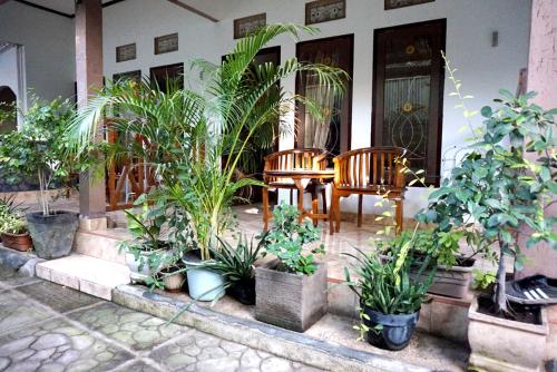 Cha Cha Homestay